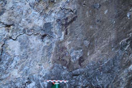 Imagen Crece el área de distribución de arte rupestre en el Parque Nacional de...